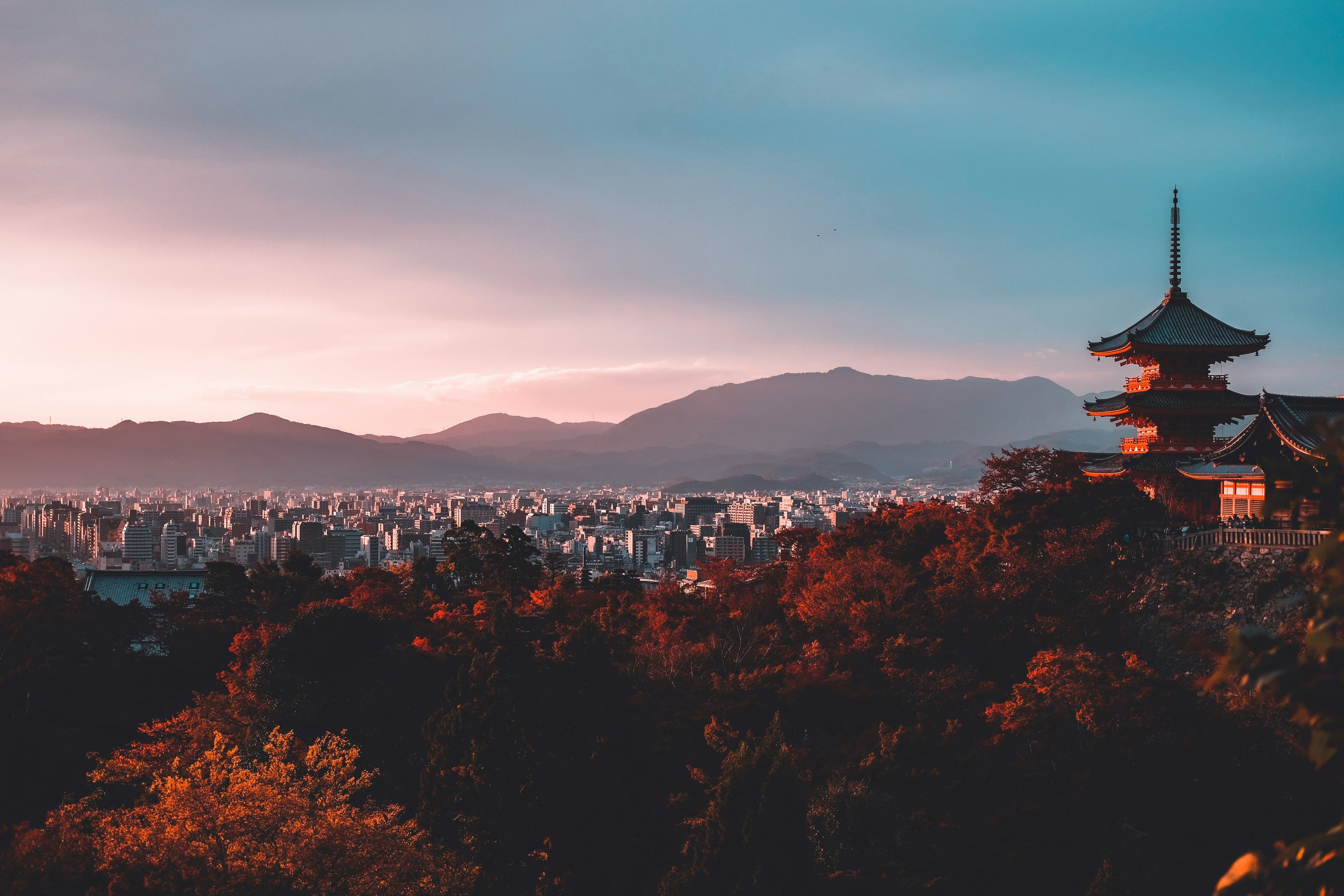 Mount Fuji and Pagoda picture